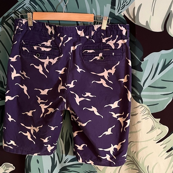 Levi bird shorts - Picture 6 of 10